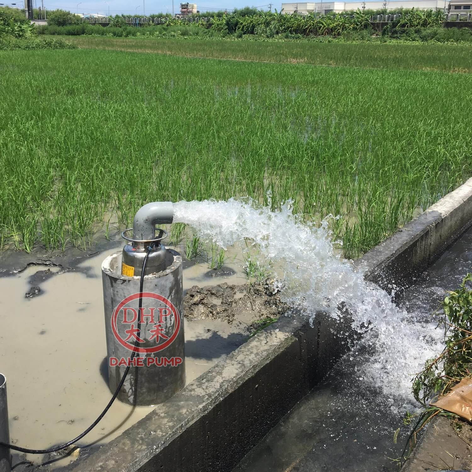 豐禾電機有限公司的最新公告圖片